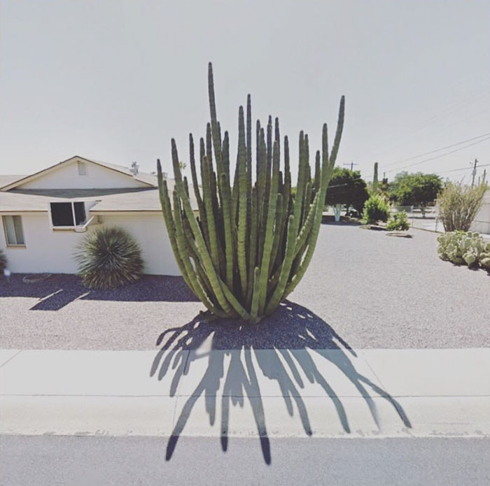 agoraphobic-traveller-google-street-view-photography-agoraphobia-19-59fc683ca39e6__700.jpg