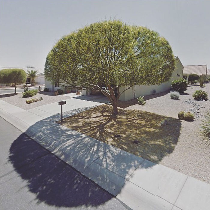 agoraphobic-traveller-google-street-view-photography-agoraphobia-.jpg