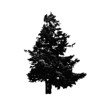 arbre-sapin-silhouette-museumtextures.com-1310121254.jpg
